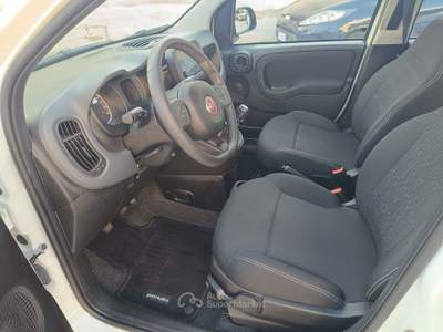 Fiat Panda FireFly S&S Hybrid Bianco usata Pompei