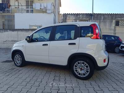 Fiat Panda FireFly S&S Hybrid Bianco usata Pompei