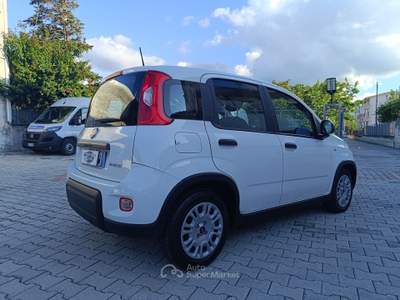 Fiat Panda FireFly S&S Hybrid Bianco usata Pompei