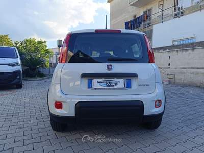 Fiat Panda FireFly S&S Hybrid Bianco usata Pompei