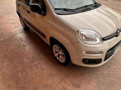 Fiat Panda AUTO PERFETTA  Bianco usata Brindisi