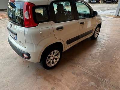 Fiat Panda AUTO PERFETTA  Bianco usata Brindisi