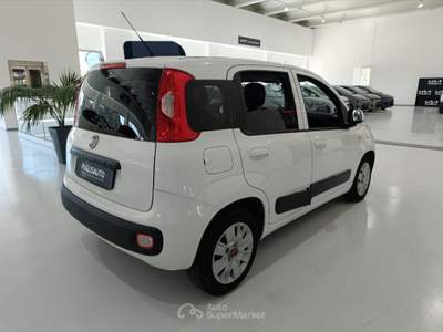 Fiat Panda 1.3 MJT 80 CV S&S Easy Bianco usata BELPASSO