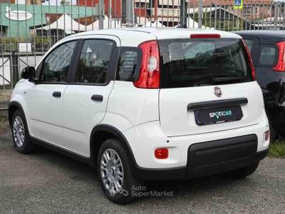 Fiat Panda 1.0 FireFly S&S Hybrid Bianco usata Pianezza