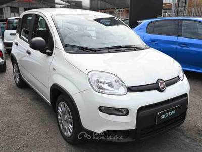 Fiat Panda 1.0 FireFly S&S Hybrid Bianco usata Pianezza