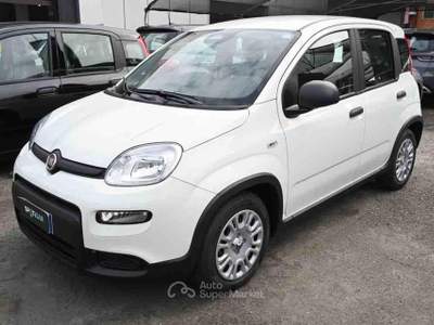 Fiat Panda 1.0 FireFly S&S Hybrid Bianco usata Pianezza