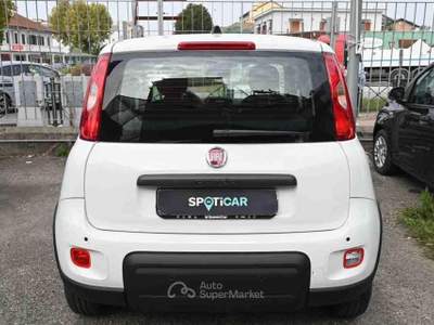 Fiat Panda 1.0 FireFly S&S Hybrid Bianco usata Pianezza