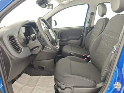 Fiat Panda Panda 1.0 FireFly S&S Hybrid + Pack city + Vernice Blu/Azzurro usata Capua