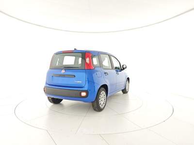 Fiat Panda Panda 1.0 FireFly S&S Hybrid + Pack city + Vernice Blu/Azzurro usata Capua