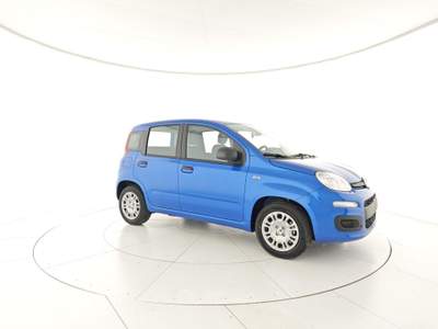 Fiat Panda Panda 1.0 FireFly S&S Hybrid + Pack city + Vernice Blu/Azzurro usata Capua