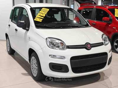 Fiat Panda 1.0 FireFly S&S Hybrid Icon Bianco usata Pianezza