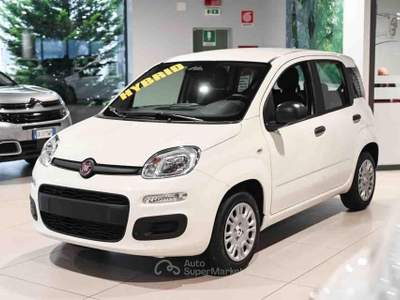 Fiat Panda 1.0 FireFly S&S Hybrid Icon Bianco usata Pianezza