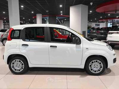 Fiat Panda 1.0 FireFly S&S Hybrid Icon Bianco usata Pianezza