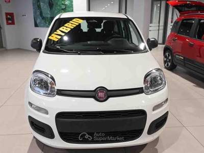Fiat Panda 1.0 FireFly S&S Hybrid Icon Bianco usata Pianezza