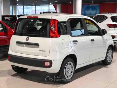 Fiat Panda 1.0 FireFly S&S Hybrid Icon Bianco usata Pianezza