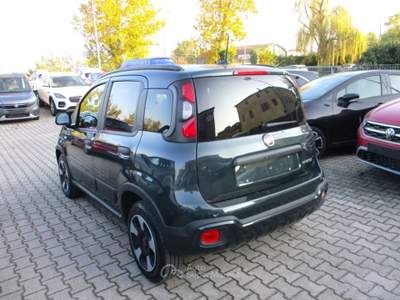 Fiat Panda 1.0 Hybrid Cross CarPlay/Sensori Verde usata Mogliano Veneto