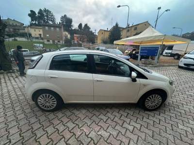 Fiat Punto Classic 1.3 MJT 5 porte Active Bianco usata Acquasparta