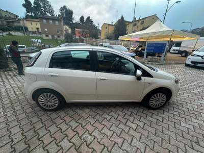 Fiat Punto Classic 1.3 MJT 5 porte Active Bianco usata Acquasparta