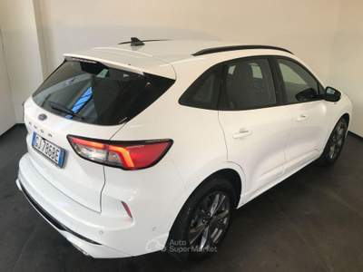 Ford Kuga 1.5 TDCI 120 CV S&S 2WD ST-Line Bianco usata Casalserugo
