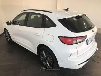 Ford Kuga 1.5 TDCI 120 CV S&S 2WD ST-Line Bianco usata Casalserugo