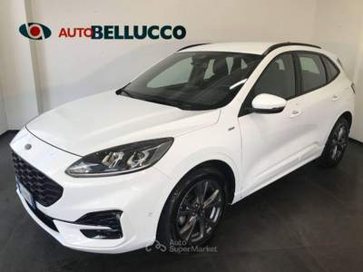 Ford Kuga 1.5 TDCI 120 CV S&S 2WD ST-Line Bianco usata Casalserugo
