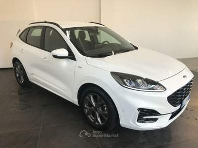 Ford Kuga 1.5 TDCI 120 CV S&S 2WD ST-Line Bianco usata Casalserugo