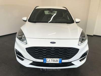 Ford Kuga 1.5 TDCI 120 CV S&S 2WD ST-Line Bianco usata Casalserugo
