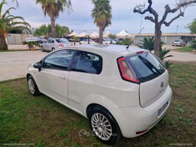 Fiat Punto Punto 1.3 MJT II 75 CV 3p. Easy Bianco usata Latiano