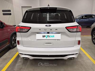 Ford Kuga 1.5 EcoBlue 120CV 2WD ST-Line Bianco usata Palermo