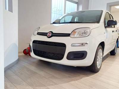 Fiat Panda 1.0 FireFly S&S Hybrid] ADAS PACK CITY Giallo usata Domodossola