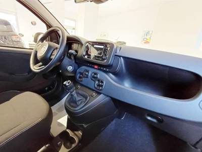 Fiat Panda 1.0 FireFly S&S Hybrid] ADAS PACK CITY Giallo usata Domodossola