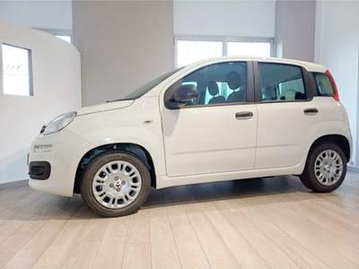 Fiat Panda 1.0 FireFly S&S Hybrid] ADAS PACK CITY Giallo usata Domodossola
