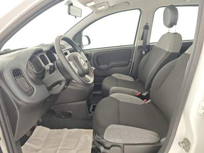 Fiat Panda Panda 1.0 FireFly S&S Hybrid Bianco usata Capua