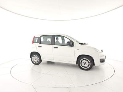 Fiat Panda Panda 1.0 FireFly S&S Hybrid Bianco usata Capua