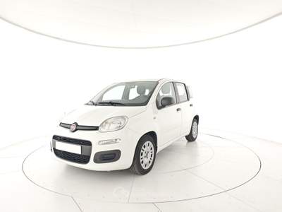 Fiat Panda Panda 1.0 FireFly S&S Hybrid Bianco usata Capua