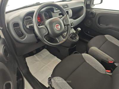 Fiat Panda Panda 1.0 FireFly S&S Hybrid Bianco usata Capua