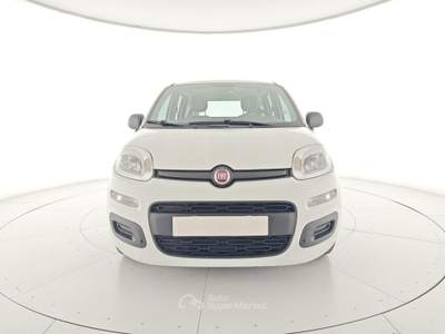 Fiat Panda Panda 1.0 FireFly S&S Hybrid Bianco usata Capua