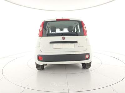 Fiat Panda Panda 1.0 FireFly S&S Hybrid Bianco usata Capua