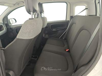 Fiat Panda Panda 1.0 FireFly S&S Hybrid Bianco usata Capua