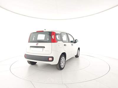 Fiat Panda Panda 1.0 FireFly S&S Hybrid Bianco usata Capua
