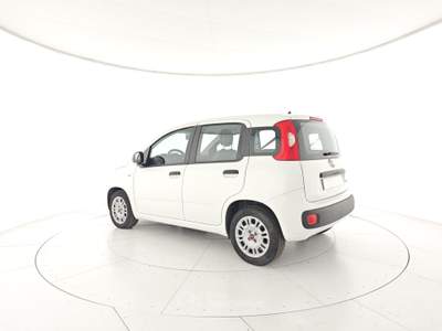 Fiat Panda Panda 1.0 FireFly S&S Hybrid Bianco usata Capua