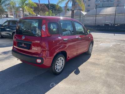 Fiat Panda Panda 1.0 FireFly S&S Hybrid Pandina Rosso usata Cercola