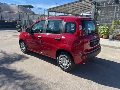 Fiat Panda Panda 1.0 FireFly S&S Hybrid Pandina Rosso usata Cercola