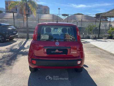 Fiat Panda Panda 1.0 FireFly S&S Hybrid Pandina Rosso usata Cercola