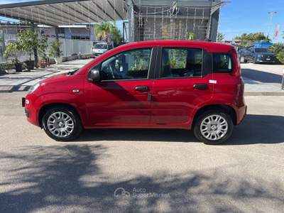 Fiat Panda Panda 1.0 FireFly S&S Hybrid Pandina Rosso usata Cercola