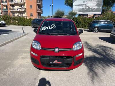 Fiat Panda Panda 1.0 FireFly S&S Hybrid Pandina Rosso usata Cercola