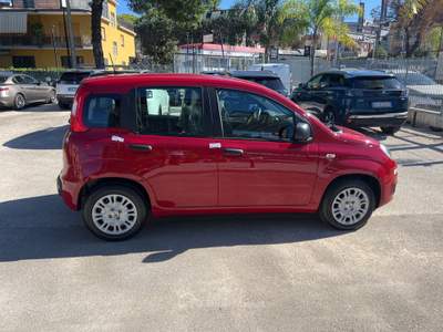 Fiat Panda Panda 1.0 FireFly S&S Hybrid Pandina Rosso usata Cercola