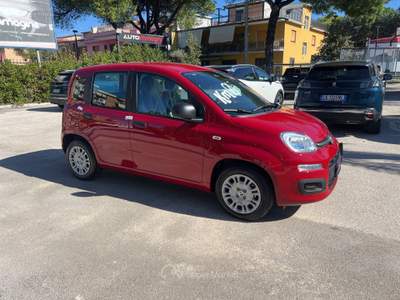 Fiat Panda Panda 1.0 FireFly S&S Hybrid Pandina Rosso usata Cercola