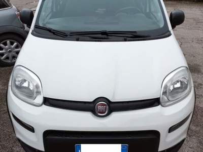 Fiat Panda Turbo S&S 4x4 Bianco usata Ferrara