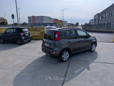 Fiat Panda 1.0 FireFly S&S Hybrid City Life 5POSTI OK NEOPATE Grigio usata Cremosano